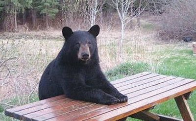 Mid Day November 14, 2024