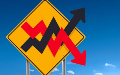 Mid Day November 26, 2024