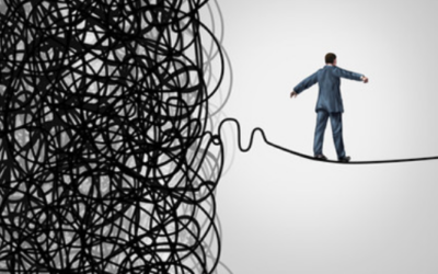 Mid Morning November 11, 2024