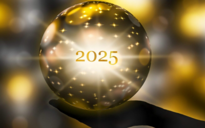 Subscriber 2025 Expectations And Surprises