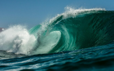 Wave Personality Update