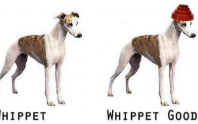 Sentiment Whip