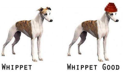 Sentiment Whip