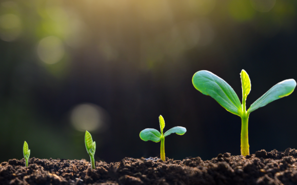 First Call February 25, 2026